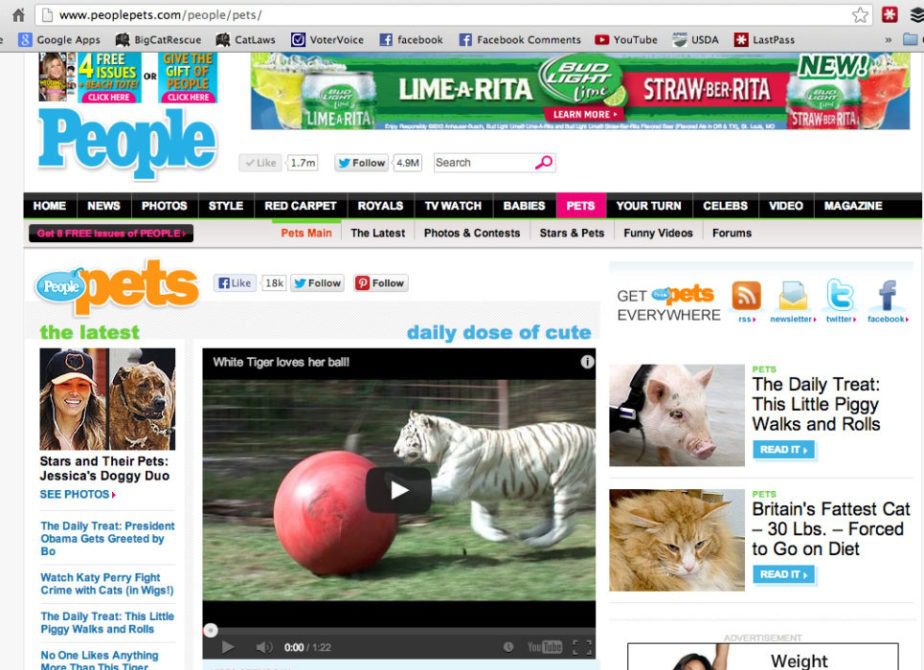Big Cat Rescue has been featured favorably in the press more than 1,000 times