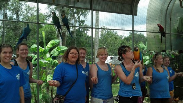 Florida Exotic Bird Sanctuary Field Trip