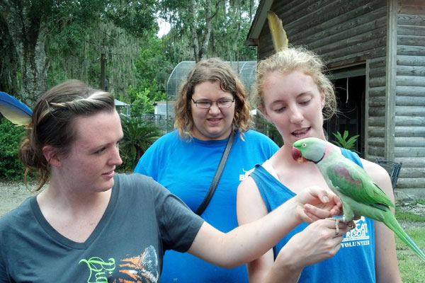 Florida-Exotic-Bird-Sanctuary-9