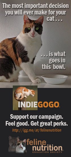 Feline_Nutrition_Indiegogo_Tall