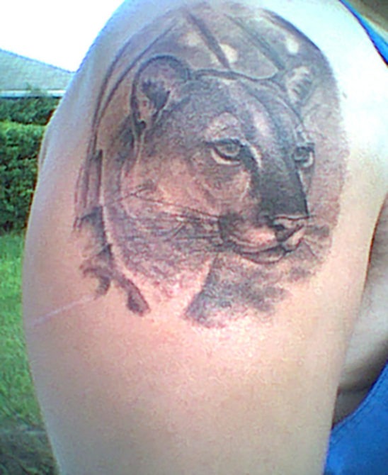 Tattoo-Glory-Cougar-Matt