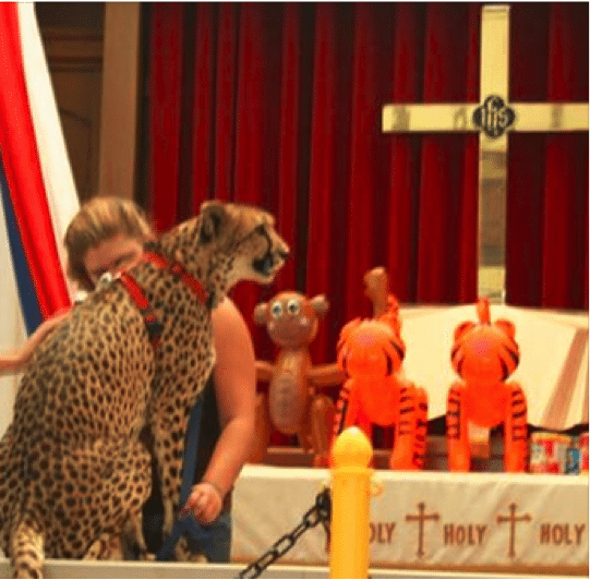 cheetah in church