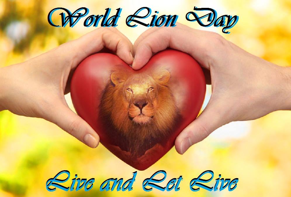 World Lion Day 2015