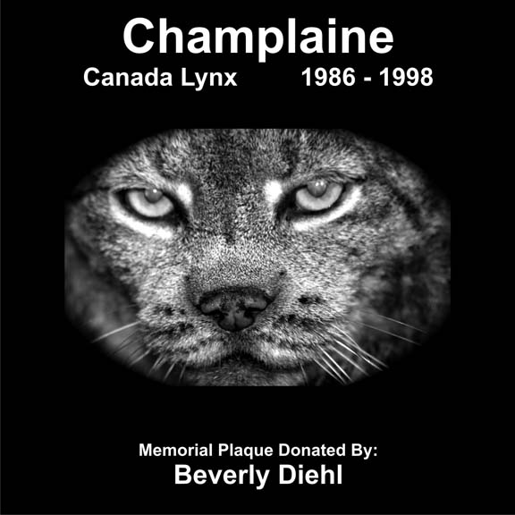 Champlaine
