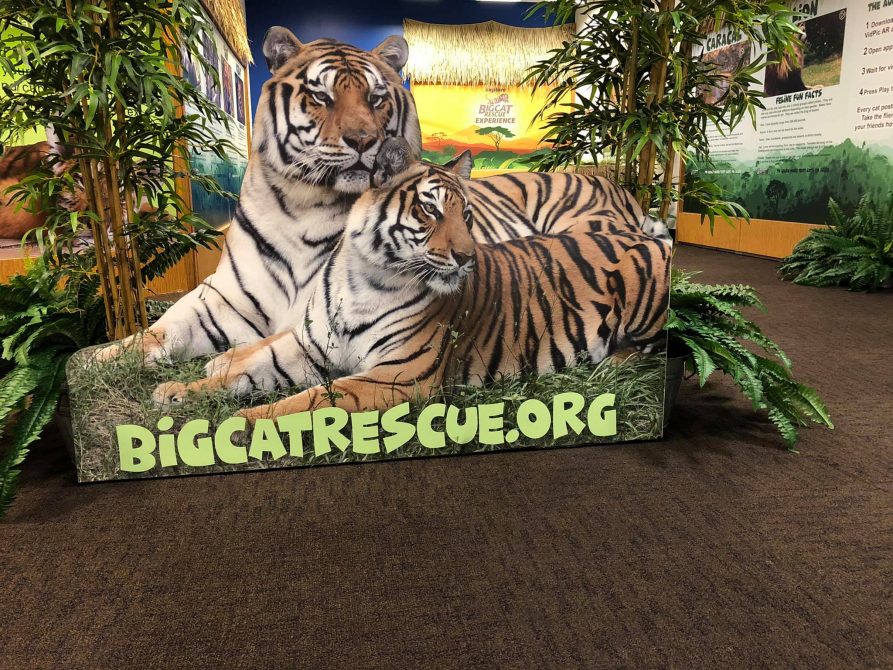 Augmented Reality Zoo in Plantation Florida