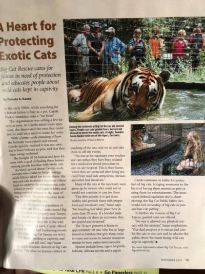 THANK YOU to Florida Currents Magazine for this article about Big Cat Rescue. https://www.floridacurrents.com/a-heart-for-protecting-exotic-cats/