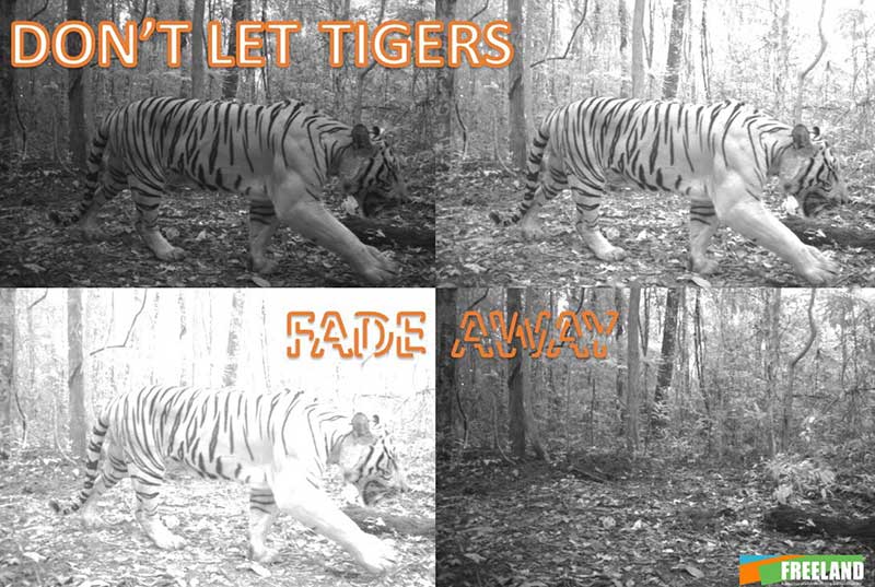 Freeland Preventing Tiger Extinction