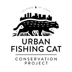 Urban Fishing Cat logo