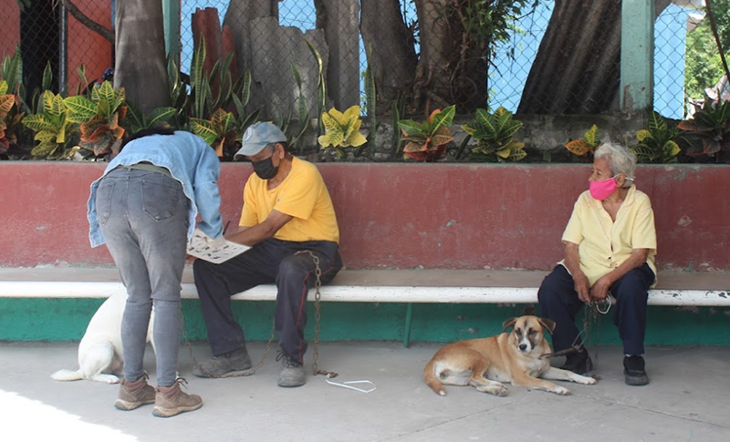 SMALL CAT CONSERVATION IN MORELOS, MEXICO