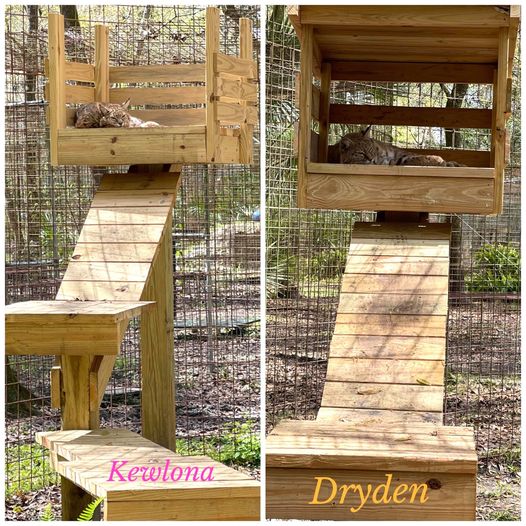 Kewlona and Dryden playground