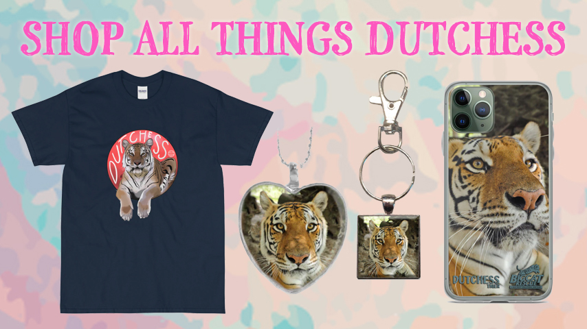 Dutchess Tiger Online Store