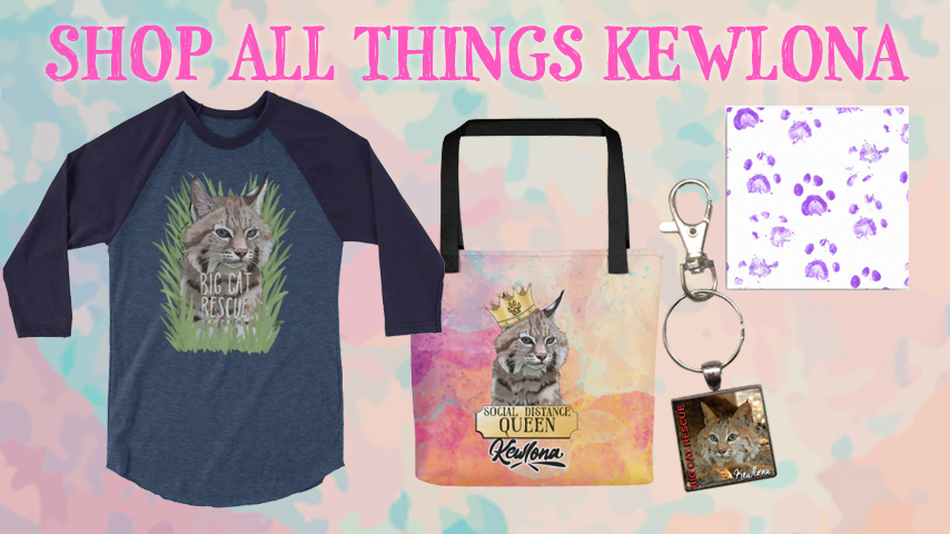 Kewlona Bobcat Online Store